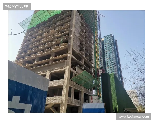 面对烂尾楼困境,沈阳业主为何选择强行入住自家房产?探讨背后的真相与无奈。 面对烂尾楼困境,沈阳业主为何选择强行入住自家房产?探讨背后的真相与无奈。